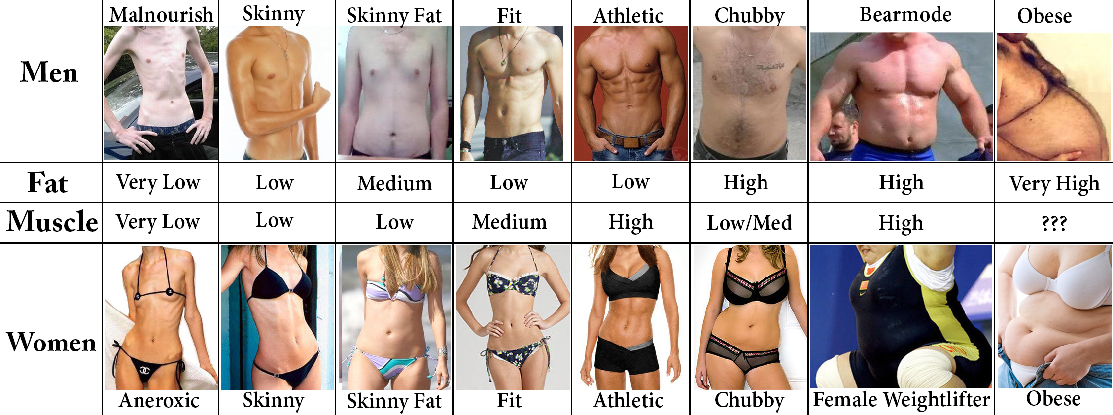 Skinny To Fat Chart - Do You Know What Too Fat Looks Like Society The Guard...